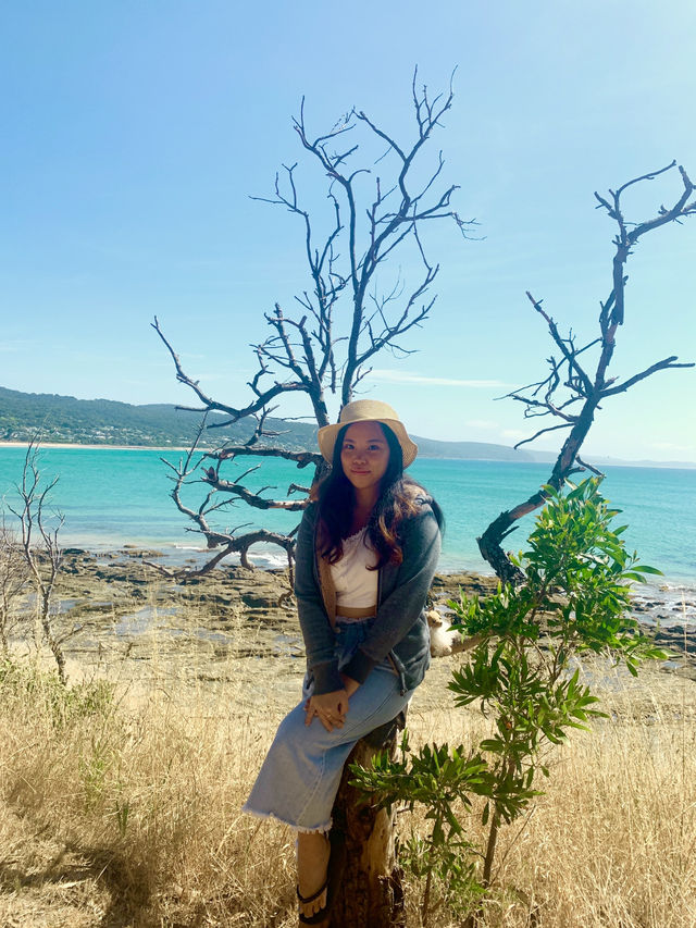 🌊 Explore the Iconic Great Ocean Road 