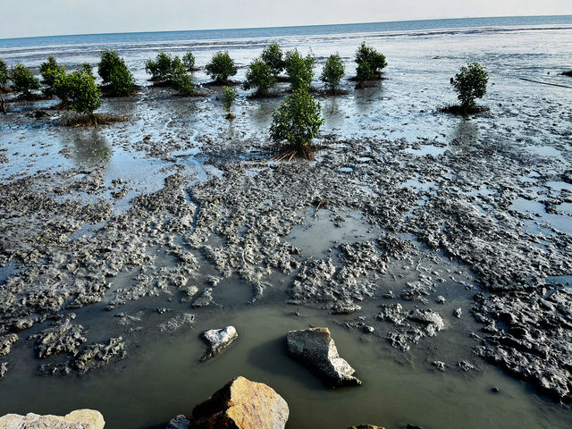 Tua Pek Kong Temple & Mangrove Walk – A Scenic Surprise in Setiawan