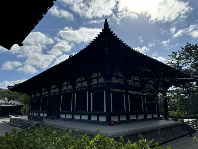 唐招提寺：探索奈良的佛教瑰寶，感受千年文化的深厚底蘊！