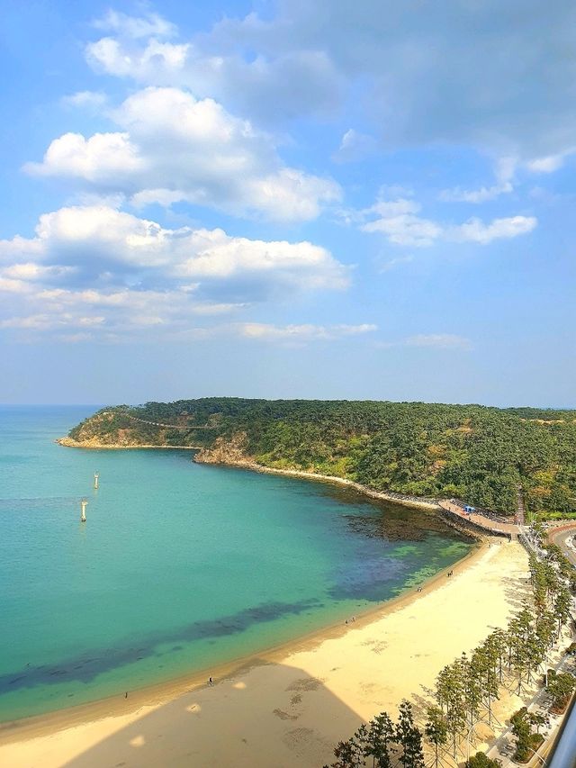 울산에 있는 해외감성 바다 구경🌊