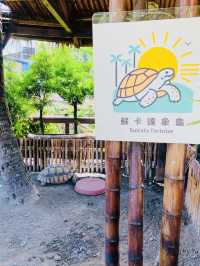 台東南洋風海景咖啡廳-可可娜✨