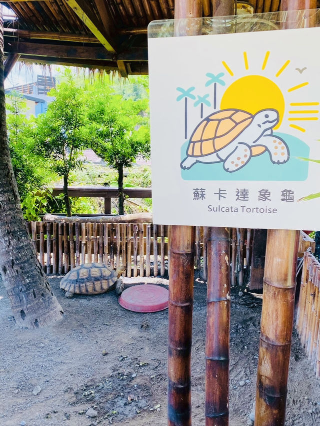 台東南洋風海景咖啡廳-可可娜✨