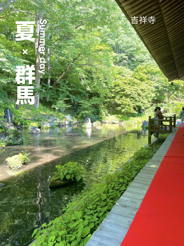 【群馬】映えスポット多数！群馬を代表する花寺