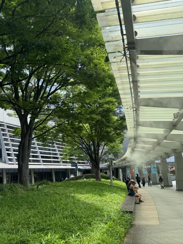 Tokyo in Style: Exploring the Magic of Ginza
