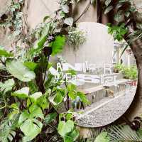 The House Plants Coffee