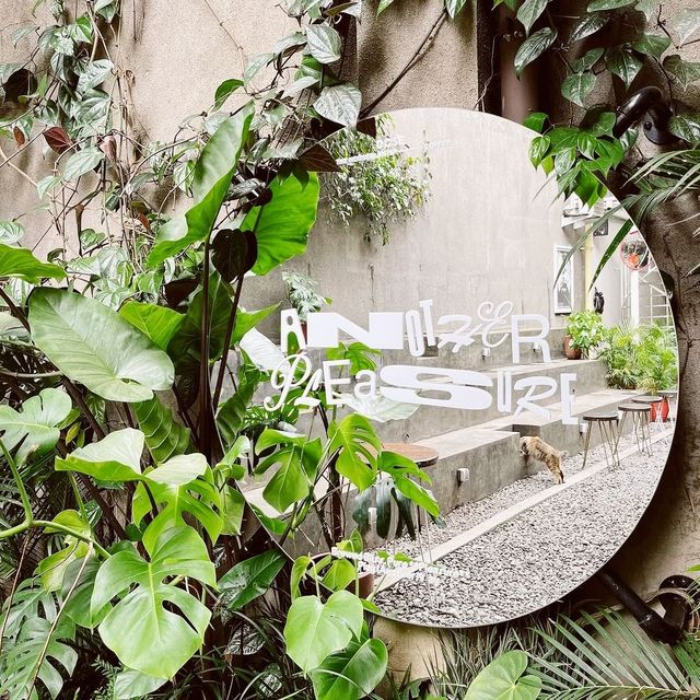 The House Plants Coffee