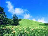 Kisuge-daira Park (キスゲ平公園) – A Hidden Highland Paradise in Nagano** 🌸🏞️  