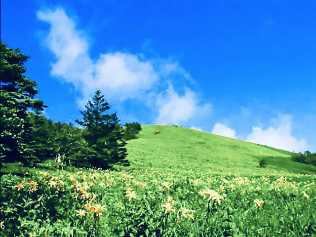 Kisuge-daira Park (キスゲ平公園) – A Hidden Highland Paradise in Nagano** 🌸🏞️  