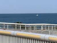 Kobe Maiko: A Half-Day Surprise (and Regret!) by the Sea! 🌊🍣