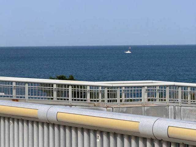 Kobe Maiko: A Half-Day Surprise (and Regret!) by the Sea! 🌊🍣