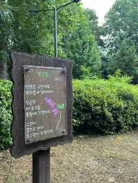 시가 있는 명상 정원