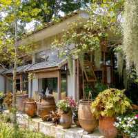 คาเฟ่บรรยากาศร่มรื่นในย่านสันกำแพง เชียงใหม่