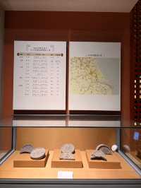 Nanjing Museum 