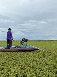 ล่องเรือทะเลน้อย พัทลุง