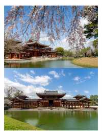 宇治 – 平等院鳳凰堂
