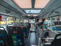 Elephant Hop-On Hop-Off Bus Tours