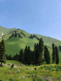 Majestic Beauty of Mengteke Ancient Road in Tangbula, Nilk County