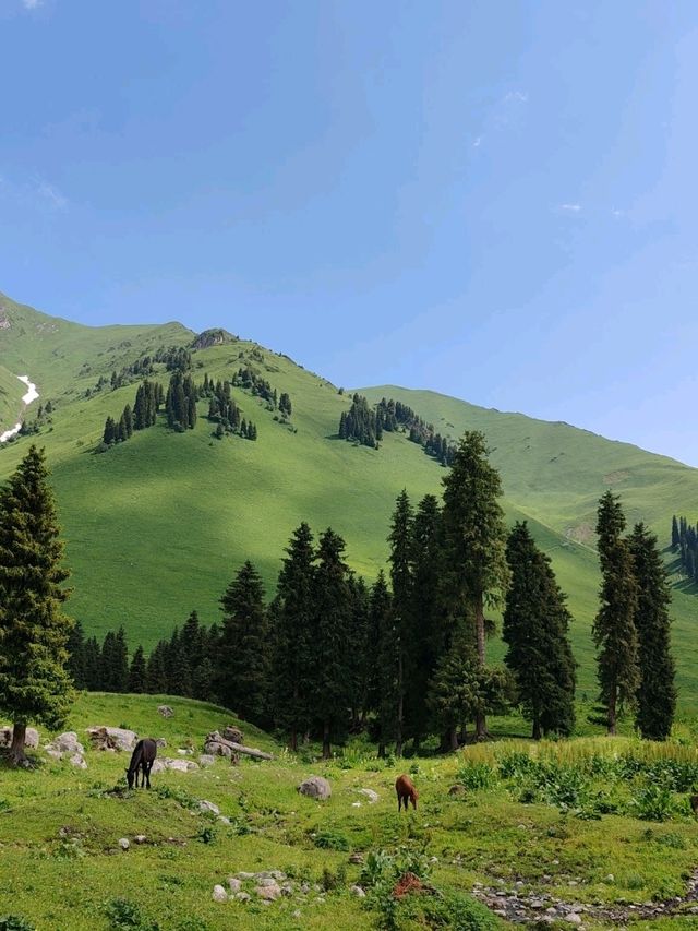 Majestic Beauty of Mengteke Ancient Road in Tangbula, Nilk County