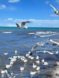 Where Sky Meets Water: A Journey to Qinghai Lake
