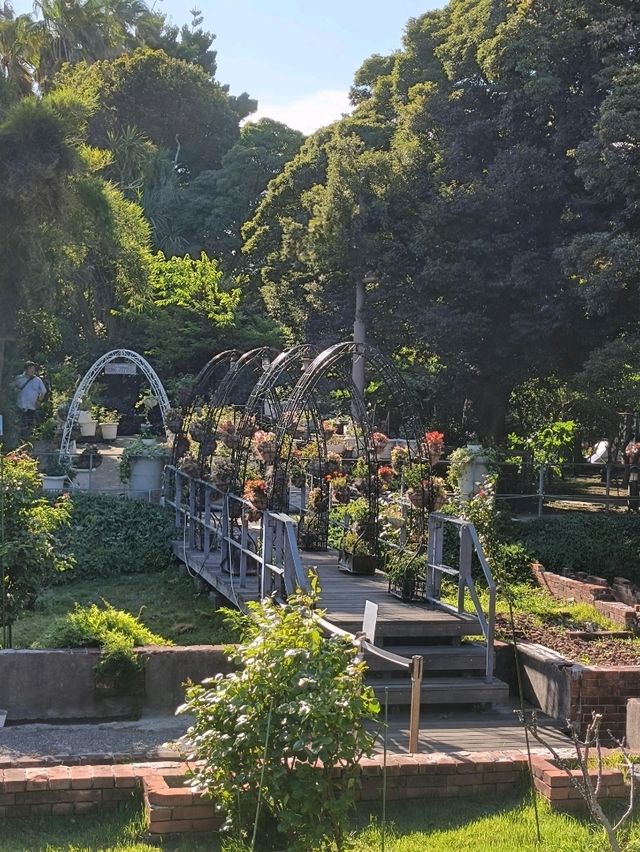 Stairs, Shrines and Seaviews at Enoshima 