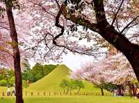 🌿🏯 *Suizenji Jojuen Garden: A Miniature Kyoto in Kumamoto* 🎋🍵