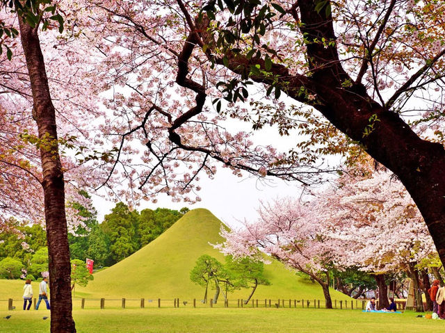 🌿🏯 *Suizenji Jojuen Garden: A Miniature Kyoto in Kumamoto* 🎋🍵