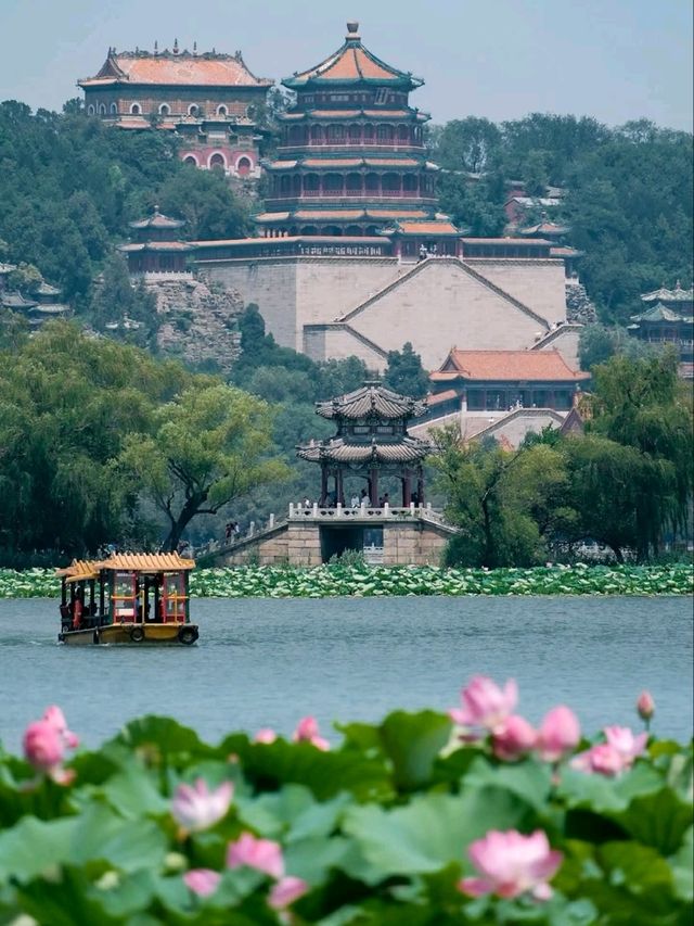  “Lotus Dream Lake”