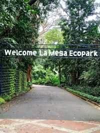 La Mesa Ecopark: A Green Retreat in Metro Manila