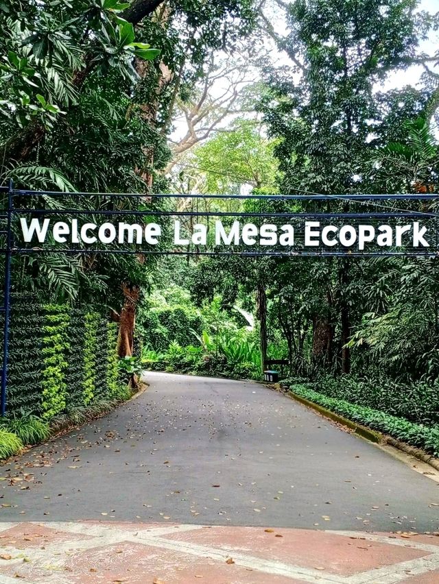 La Mesa Ecopark: A Green Retreat in Metro Manila