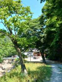 세계기록유산의 숨결