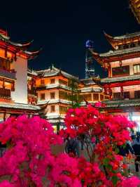 🇨🇳✨ “2 Days in Shanghai: Skyline, Soup Dumplings & Style Under $200”
