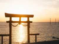 【大魚神社の海中鳥居】潮の満ち引きが生む神秘の絶景⛩️🌊