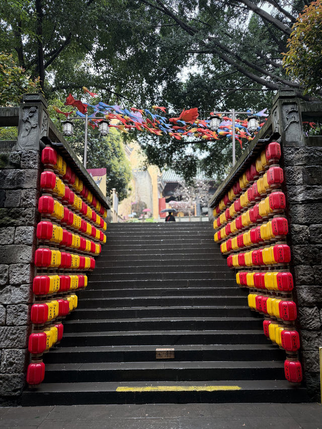 Chongqing🪭