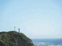 【千葉】太平洋を望む美しい「八幡岬公園」