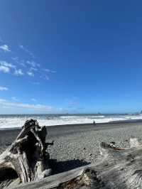 🌲 Olympic National Park Day Trip – Mountains, Lakes, Beaches & Twilight Vibes