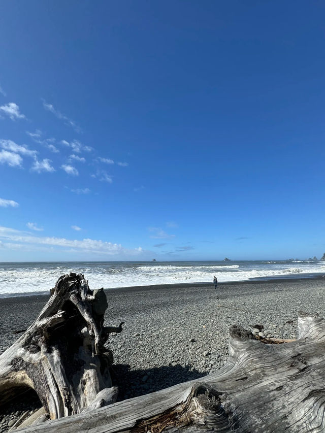 🌲 Olympic National Park Day Trip – Mountains, Lakes, Beaches & Twilight Vibes