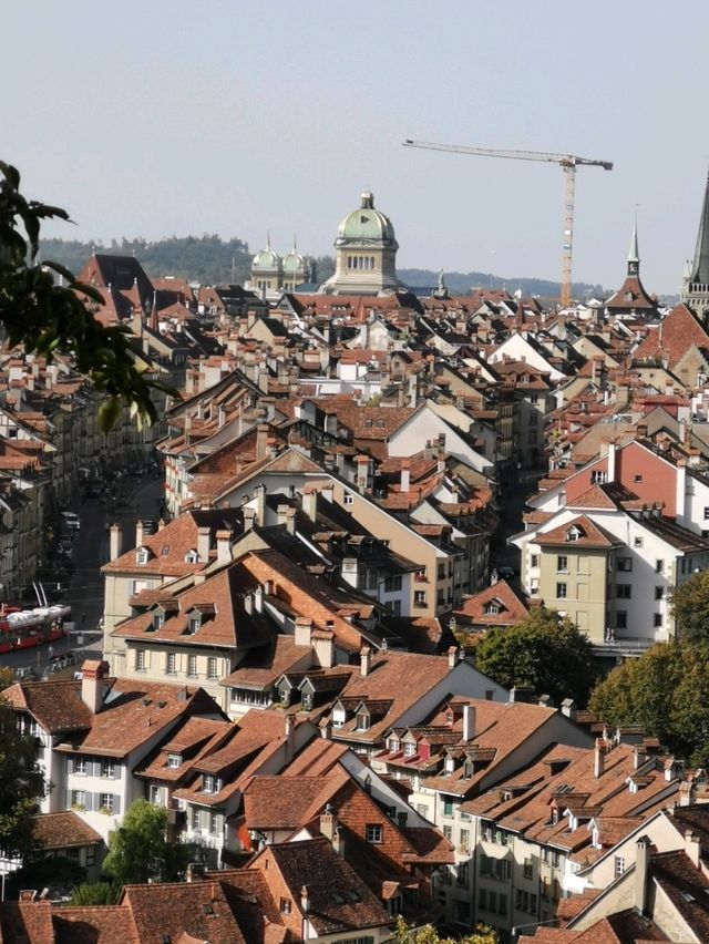 Bern's Rose Garden: A Floral Paradise Where Blooms and Beauty Intertwine