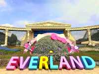 Thrills and Magic at Everland Korea