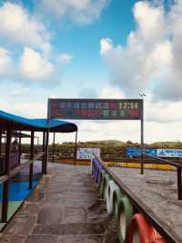 A Cost-Effective Group Adventure on Jeju's Rails