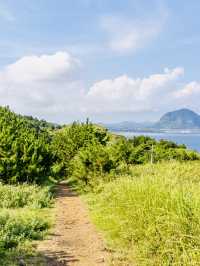 Panoramic Ocean Views from Jeju's Southern Coast