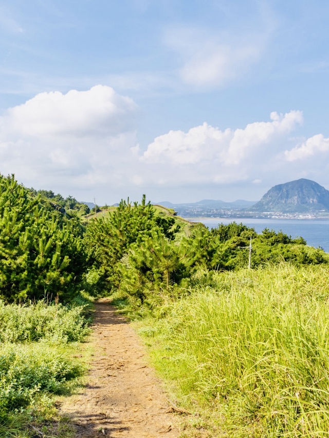 Panoramic Ocean Views from Jeju's Southern Coast