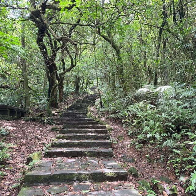 Hiking to the Top of Taipei, Qixing Mountain Main Peak Vibes