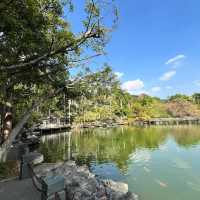 🌿 Escape into Nature at Qingxiu Mountain, Nanning (南宁青秀山)