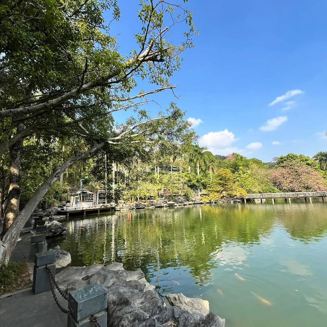 🌿 Escape into Nature at Qingxiu Mountain, Nanning (南宁青秀山)