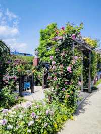 Yokohama English Garden 🌷🌻🌹🌸