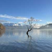 Lone tree ; Lone Me