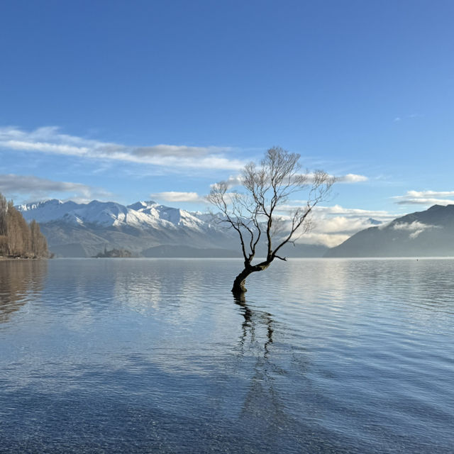 Lone tree ; Lone Me