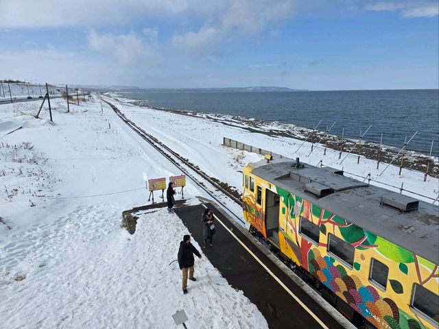 유빙둥둥 오호츠크해를 따라 달리는 유빙이야기호
