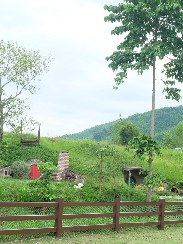 ฮีลใจกับสัตว์แสนน่ารักที่ Alpaca Hill 🦉🌿