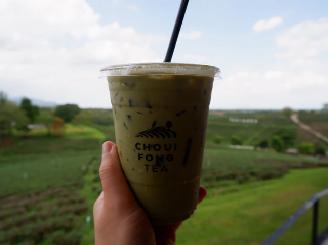 ดื่มชาร้านดัง วิวหลักล้าน“ไร่ชาฉุยฟง”